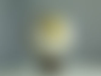 Witness the Debut of Our Ngambay Translation Services