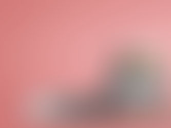 We’d Like to Introduce Our New Embu Translation Services