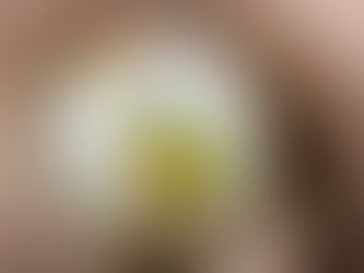 We Now Provide Translation Services for Guahibo