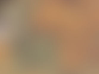 We Now Provide Our Own Bariba Translation Services