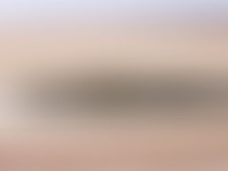 Páez Translation Services: Newly Launched!