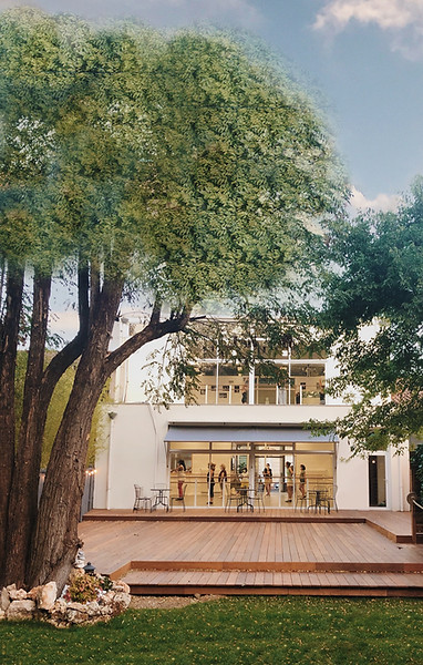 Vue des studios de l'Académie de danse de Bordeaux depuis le jardin