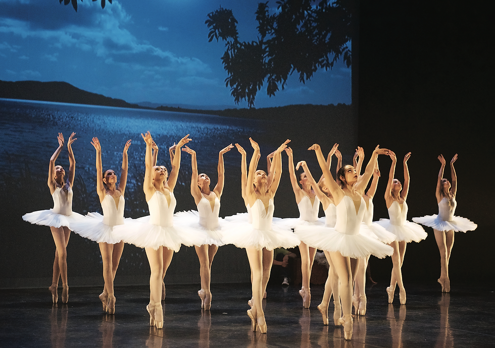 sens_artistique_danseclassique.png