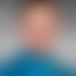 Monsieur Mario Falardeau