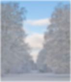 recent-32