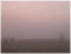 nature-11