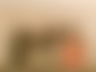 Sobre escolhas e decisões