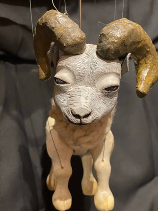 Dall sheep.jpeg