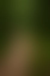 Ce que l’habitude fait à la pensée (et pourquoi il faut lui résister)