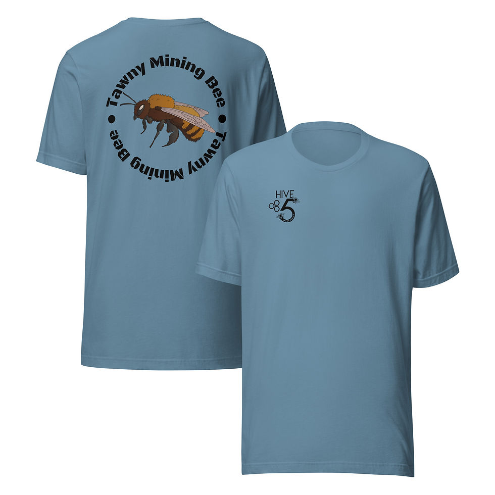 Thumbnail: Tawny Mining Bee