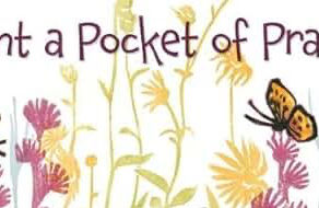 Plant a Pocket of Prairie - Written by Phyllis Root and Illustrated by Betsy Bowen
