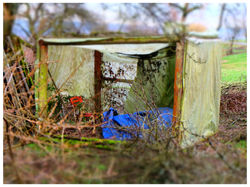 Nanna Hirsch und Lex Rijkers