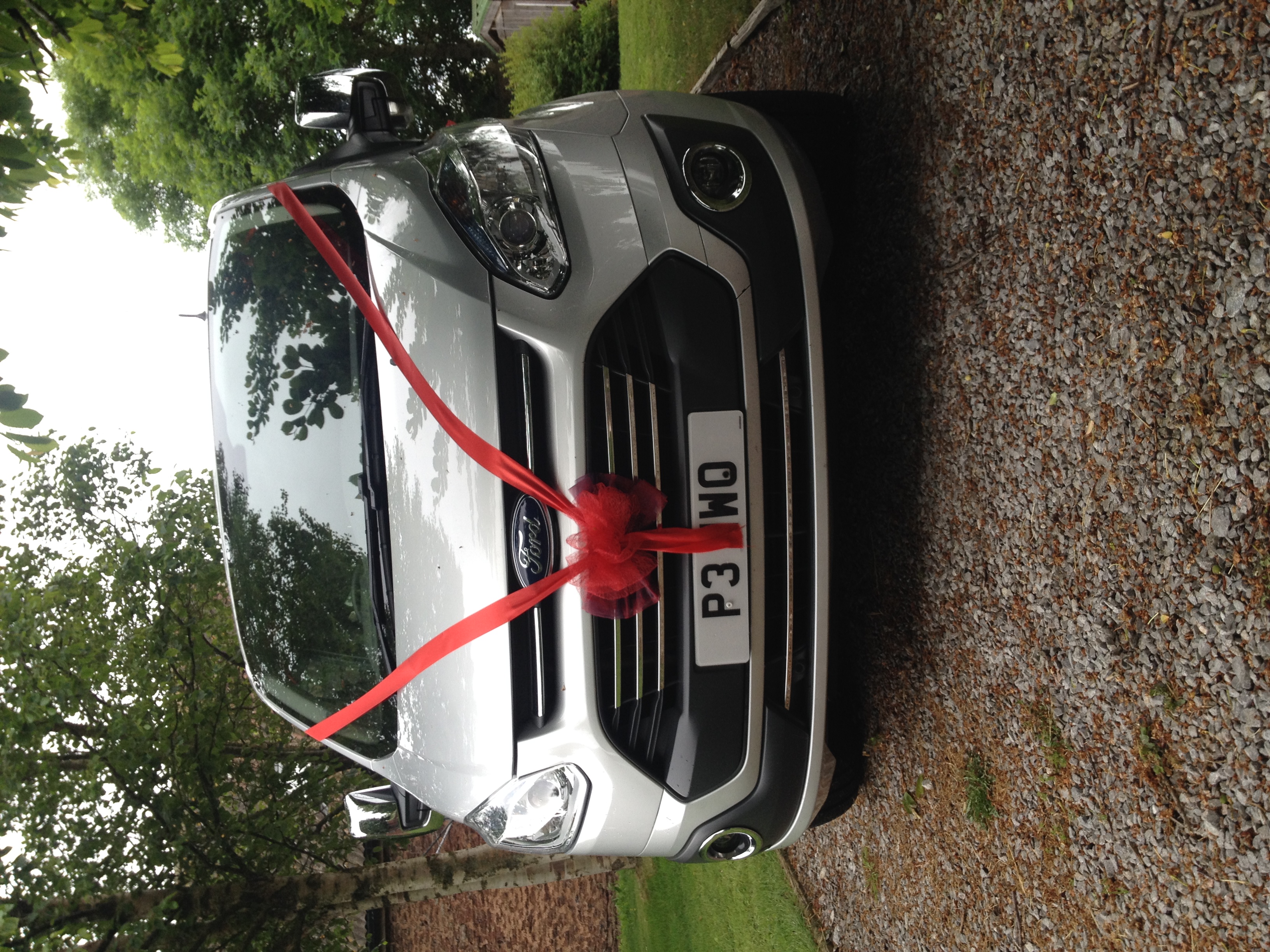 Silver Customised 8 Passenger MPV
