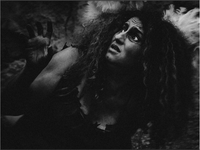 Crawling Birds (Morocco)