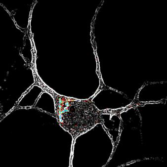 Psychedelics treating depression