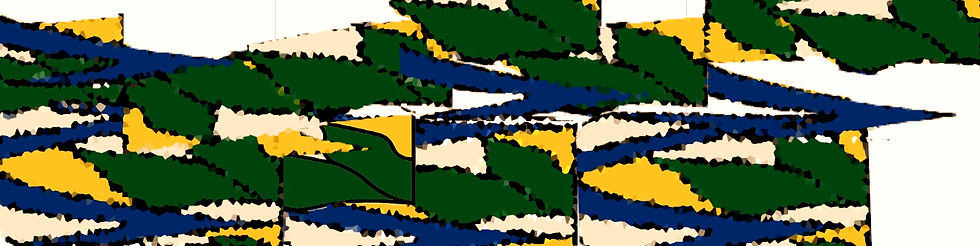 Image 4-29-25 at 2_edited.jpg