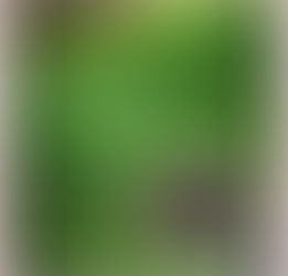 Working harder leads to more luck