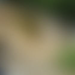 Cimentación en Puentes y Vías con Ischebeck