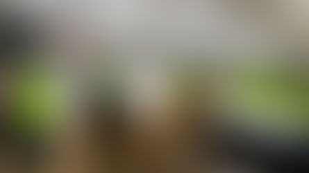 視察②茨城県にて