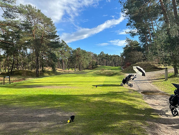 foto teebox  en fairway lage vuursche.jpeg