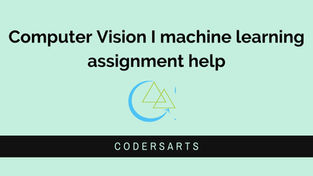 Computer Vision Project help