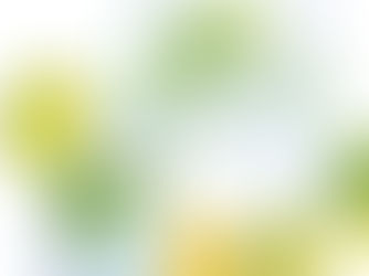 When life gives you lemons, make lemonade!