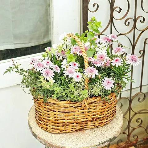 サムネイル： 季節の花 おまかせ寄せ植え 木製ナチュラルバスケットbrown