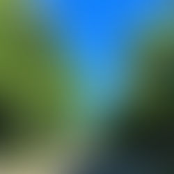 大阪城公園を走りながら心地いい三連休最終日