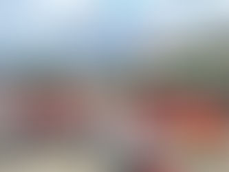 今日のみどりトピックス