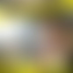 3月最初の仕事がニシノコンサル
