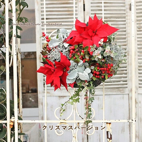 220121403.jpg