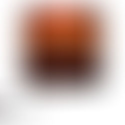 朝から東京でがっつり仕事