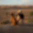 Acacia-Composites-Girl-sitting-with-dog-on-decking.jpg