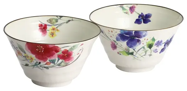 美濃燒 花水彩雙人麵碗禮盒 秋明菊・鐵線蓮 17cm 深碗設計 多用途餐碗 日本製