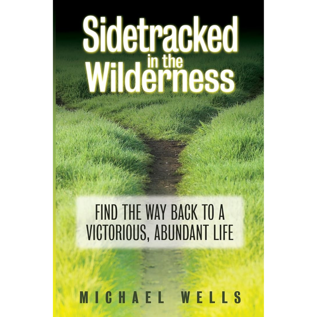 Sidetracked in the Wilderness - Michael Wells