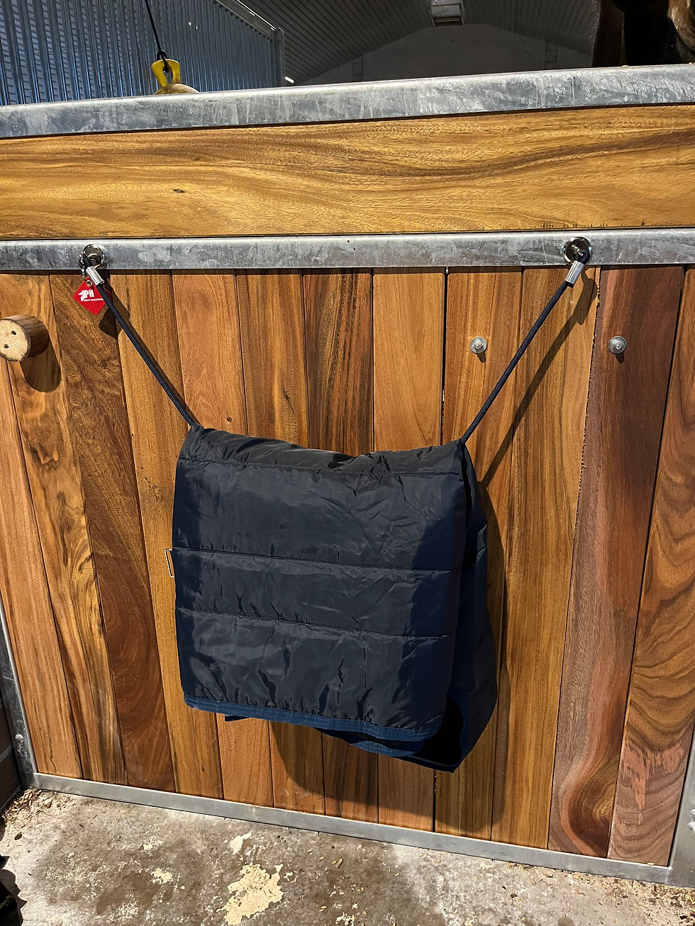 Magnetischer Deckenhalter für Boxenfronten von PH EQUESTRIAN (mit Stalldecke als DEKO) 