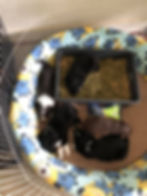 214221974_1956857927823346_1847682495831596734_n