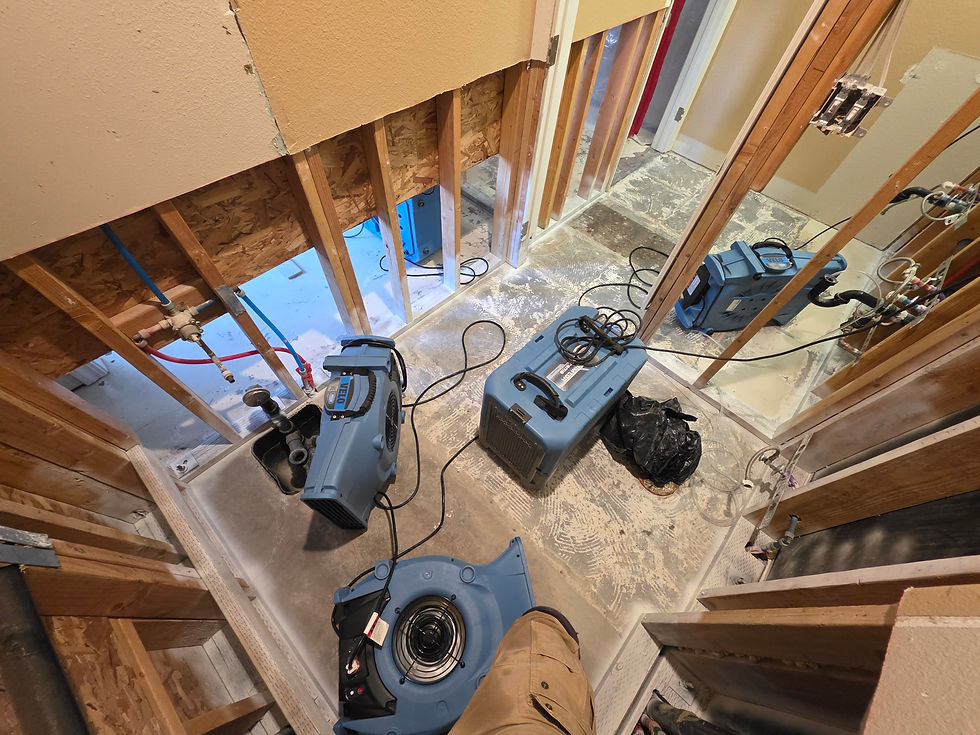 Equipment set and monitored by certified technicians is key in the drying process