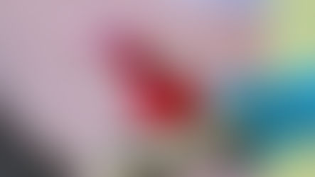 What to Do Immediately After Water Damage: A Step-by-Step Homeowner’s Guide