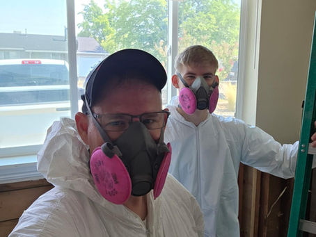 🧼 Why Mold Remediation Matters (And How We Can Help)