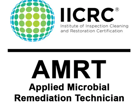 Why IICRC-Certified Mold Remediation Matters