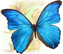 760901_565276.jpg