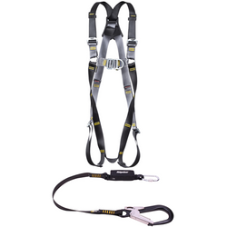 Harness & Lanyard