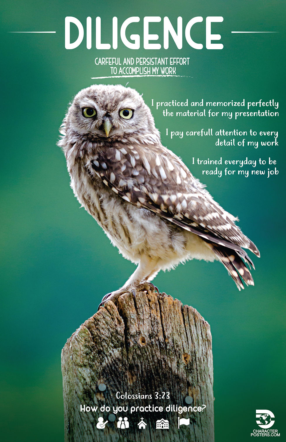 Animals Examples & Bible Verse - Diligence