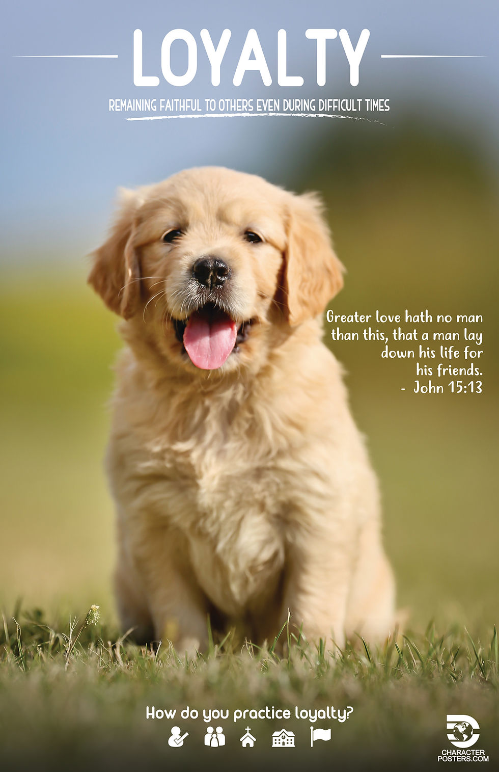 Animals KJV - Loyalty