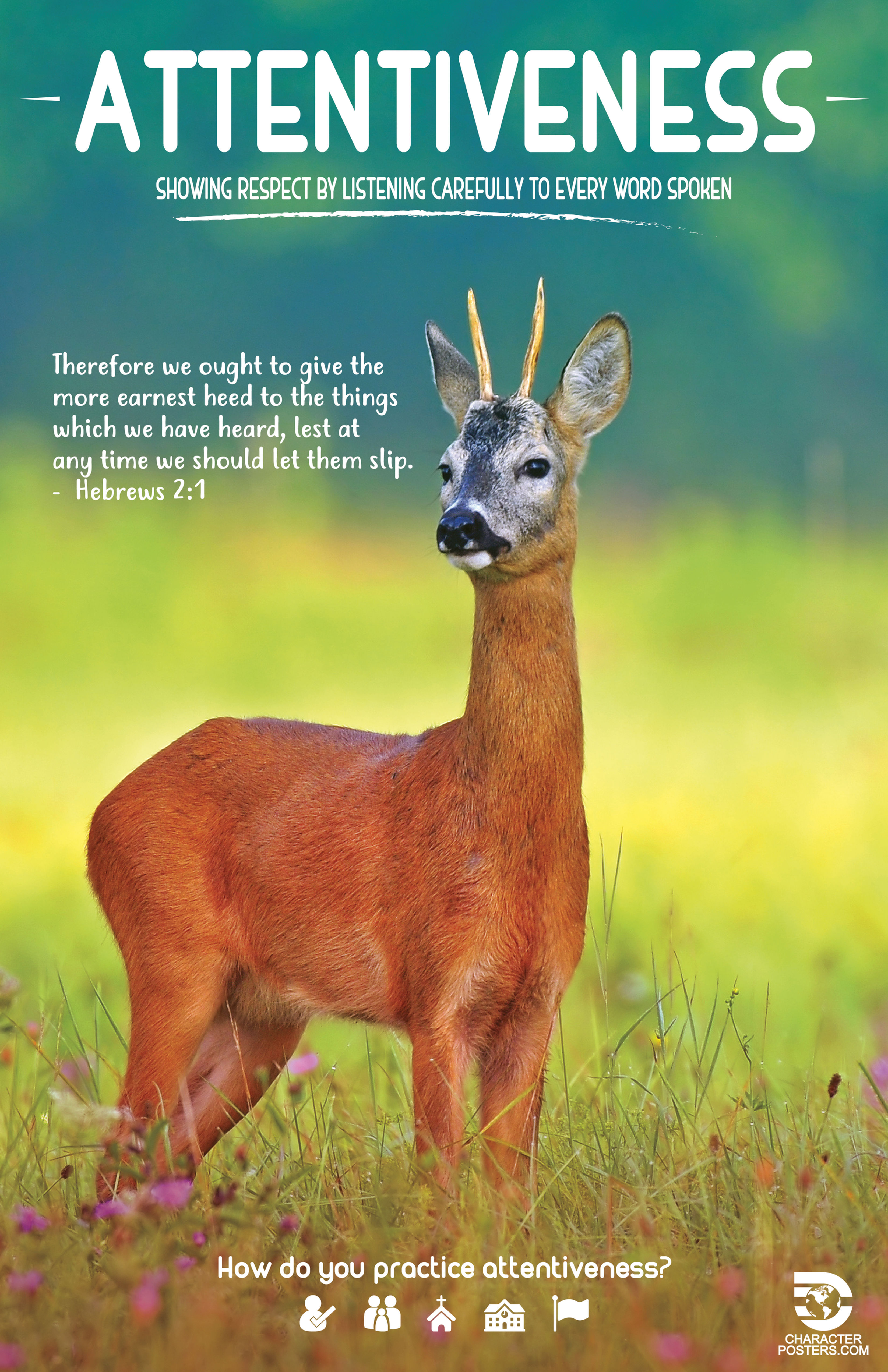 Animals KJV - Attentiveness