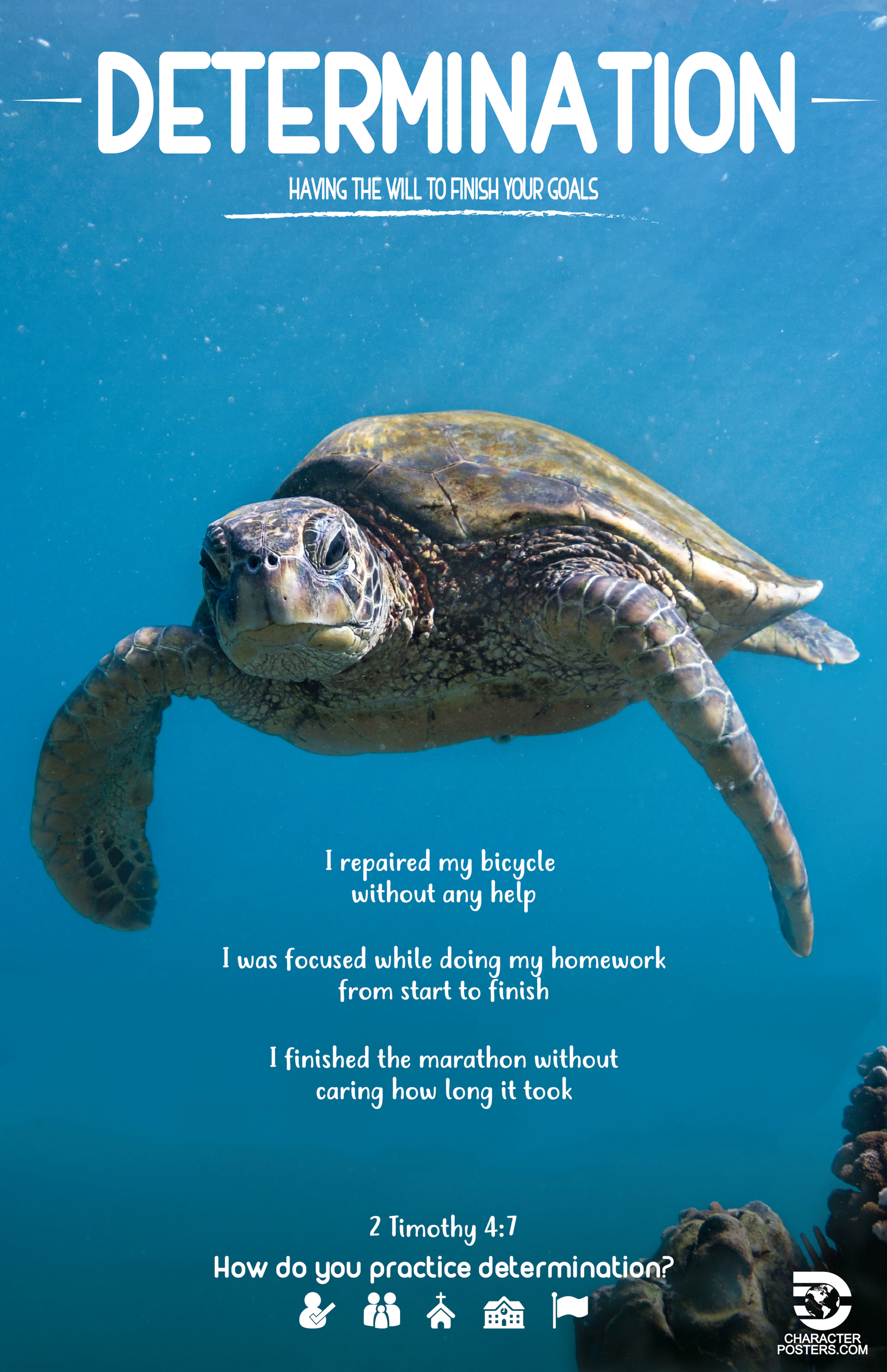 Ejemplos de animales y versículos bíblicos: Determinación