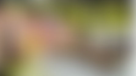 陽光下的我們☀️|訓練出“小巨肺”譚芷昀(首位在美國達人秀獲得“黃金按鈕”的華人)導師|湖南國際頻道|芒果TV同步直播📺