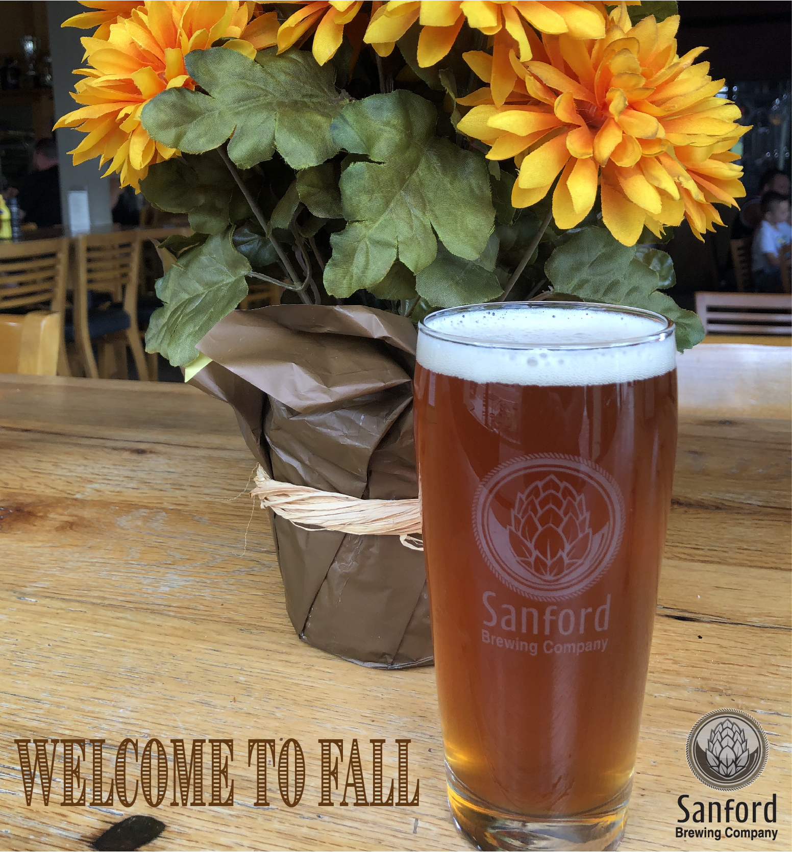 Welcome to Fall