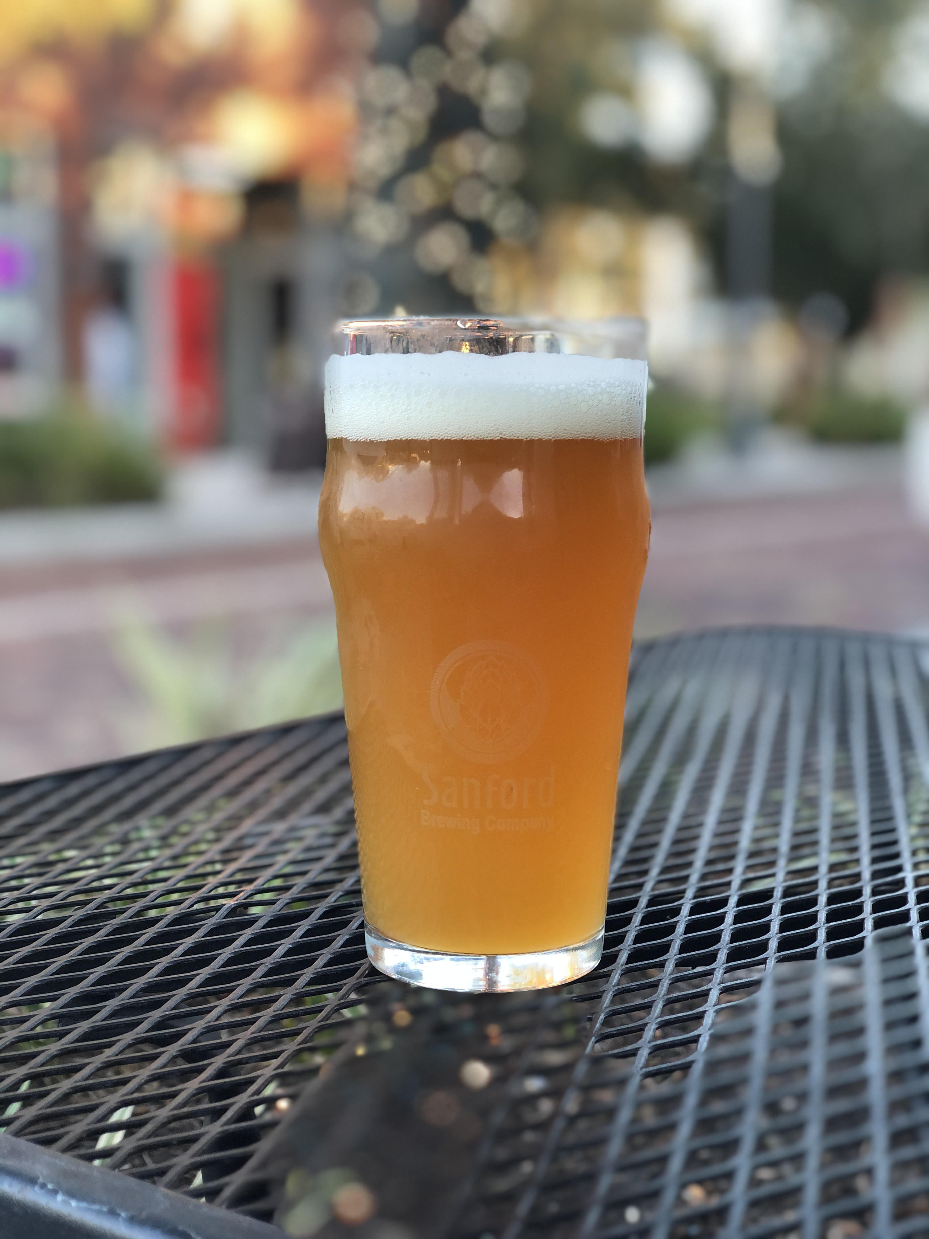 Mellonville IPA